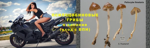 mdpv Калач