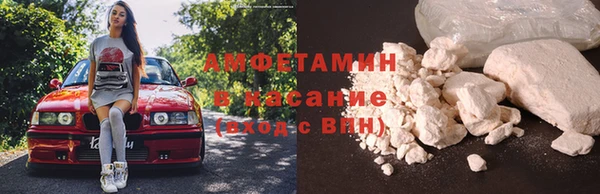хмурый Алексин
