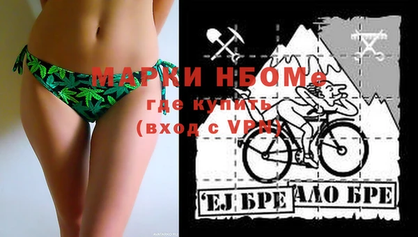 хмурый Алексин
